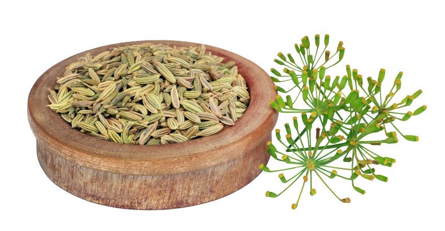 indischer-monsamen-patha-ein-ayurvedisches-heilkraut