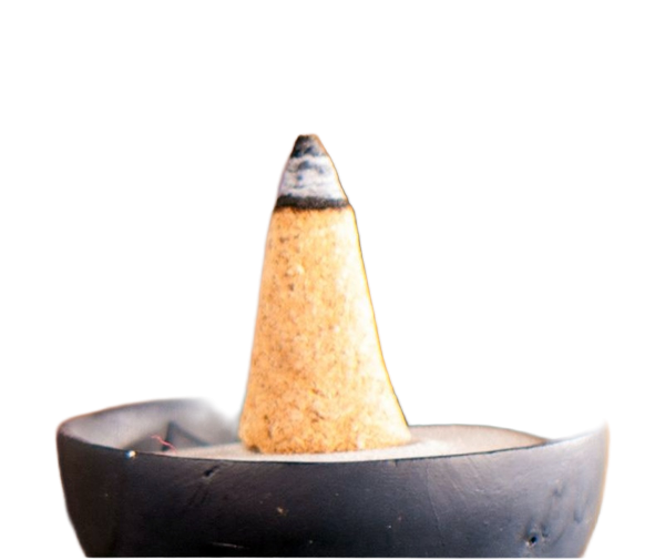 Palo Santo 6 Räucherkegel