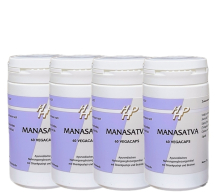 kurpackung-Manasatva-Gehirntonikum_Holisan